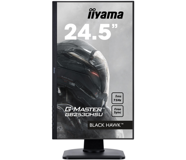iiyama G-Master GB2530HSU Black Hawk - 430746 - zdjęcie 8